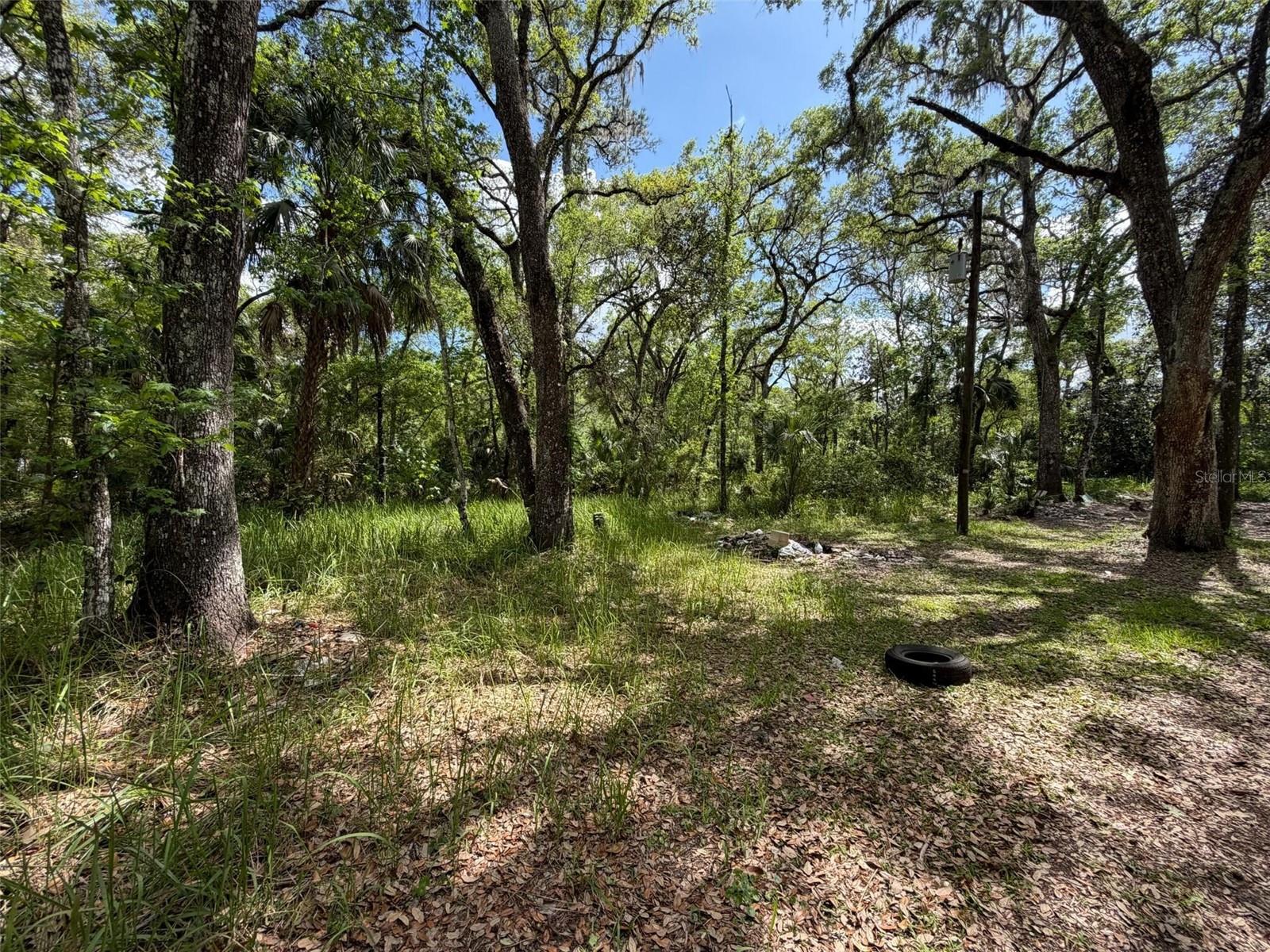 Image 17 of 17 For 7157 Dentala Street