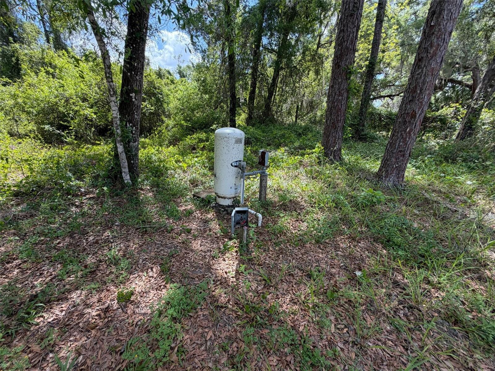 Image 4 of 17 For 7157 Dentala Street