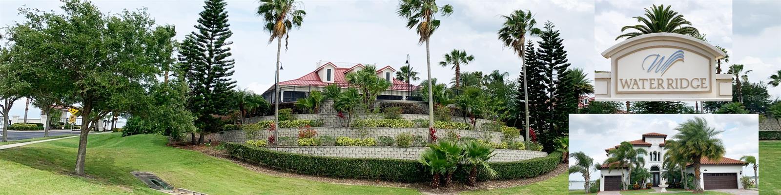 Image 15 of 17 For 168 Fringe Tree