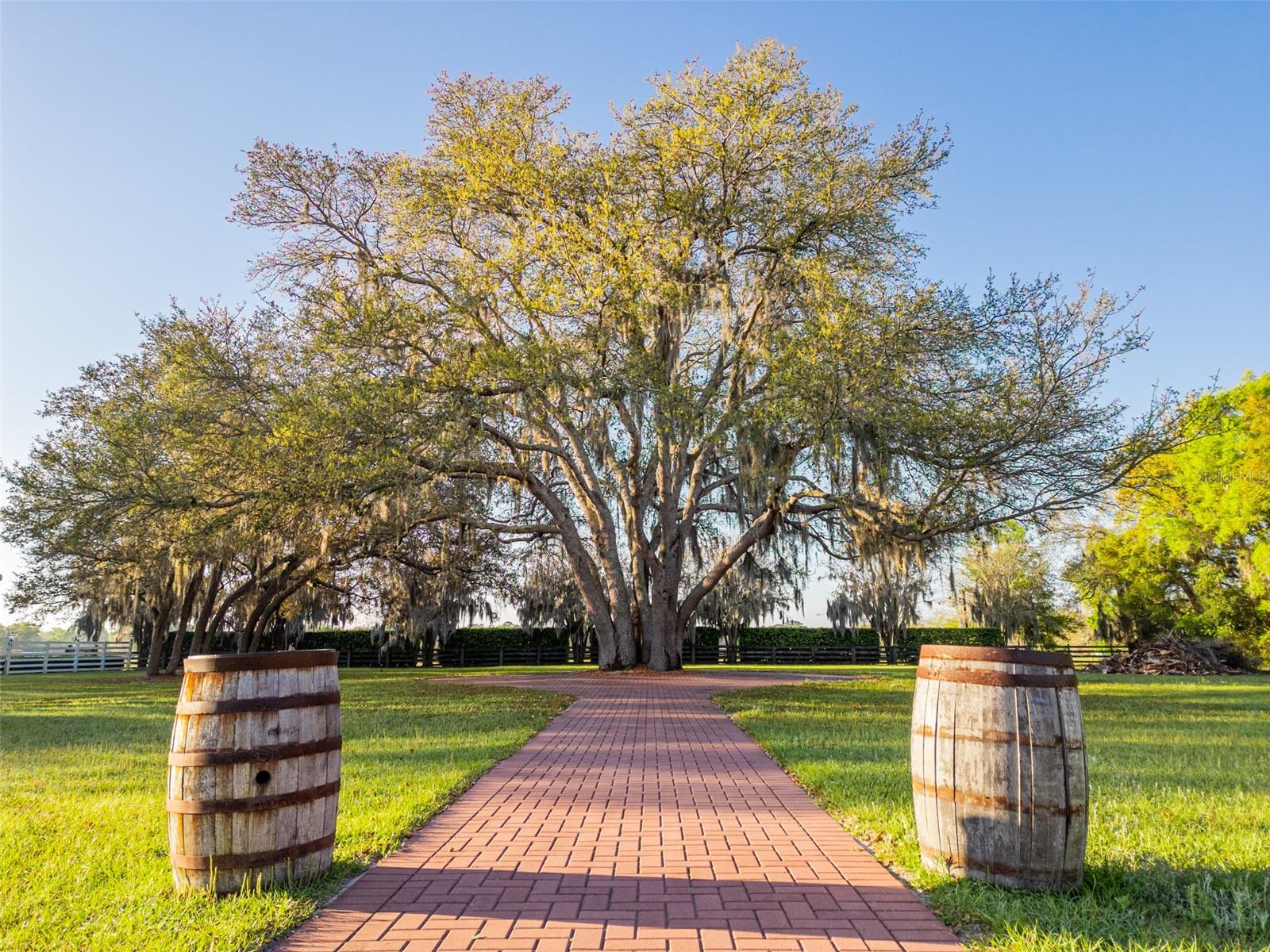 Image 16 of 18 For 280 Campbell Ranch Run