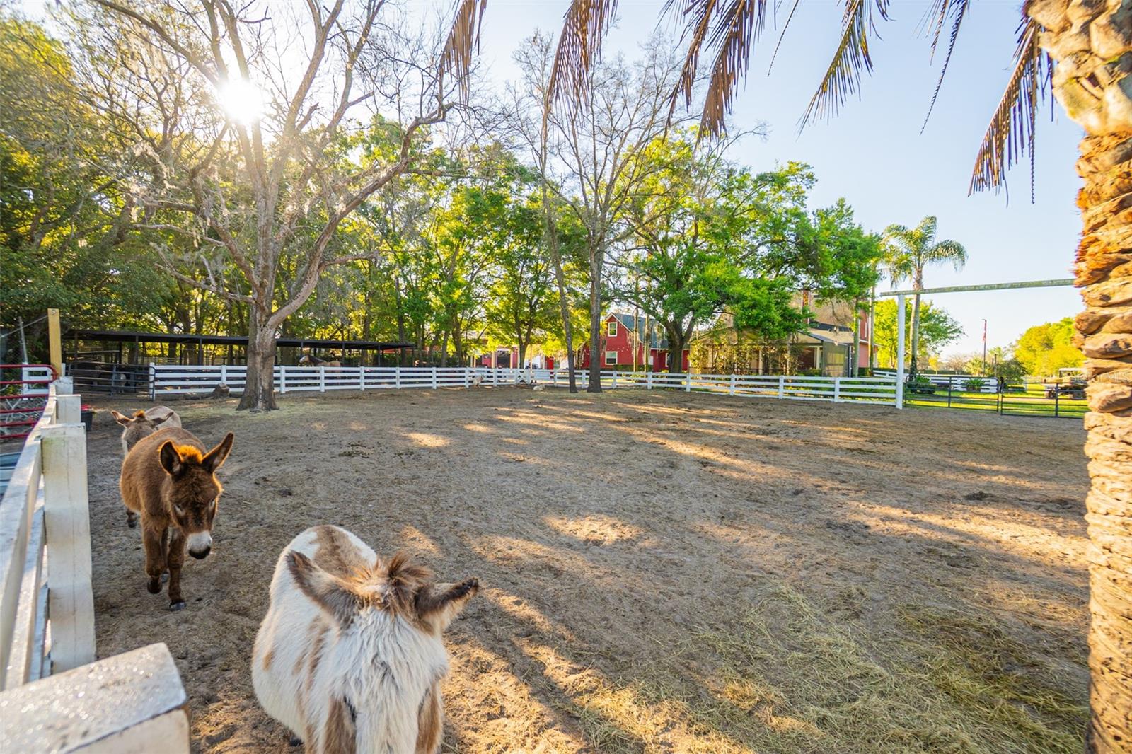 Image 18 of 18 For 280 Campbell Ranch Run
