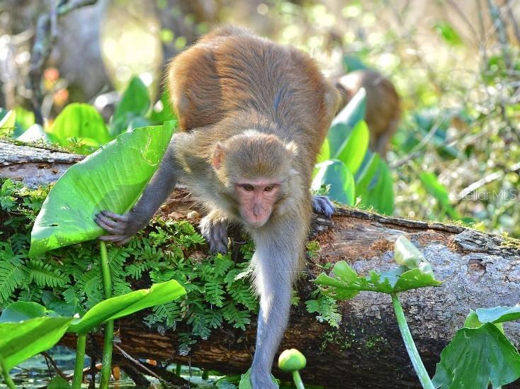 Image 21 of 22 For 2566 154th Lane