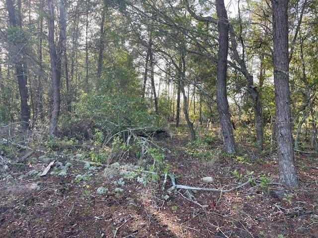 Image 4 of 7 For 1318 Homosassa Drive