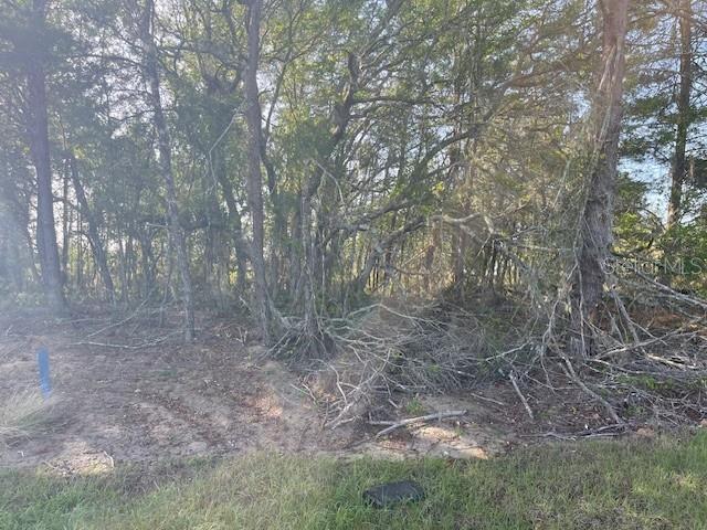 Image 5 of 7 For 1318 Homosassa Drive