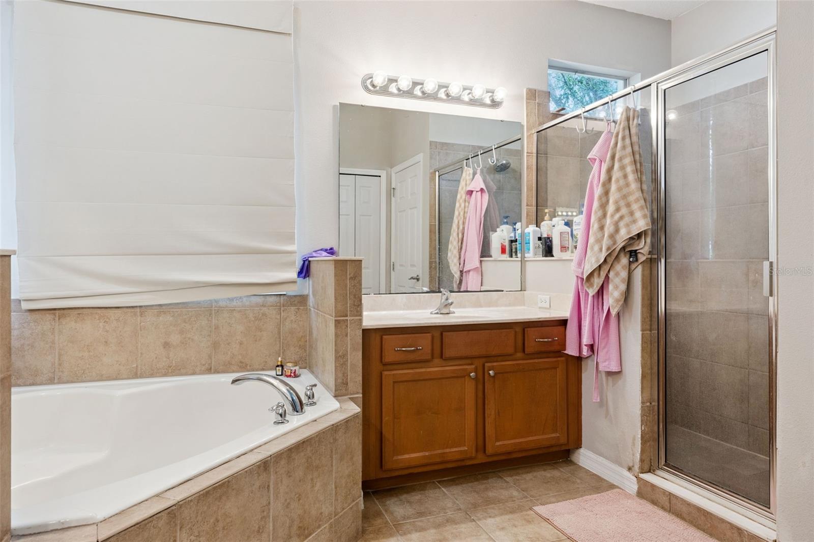 Image 27 of 36 For 4627 Blue Major Drive