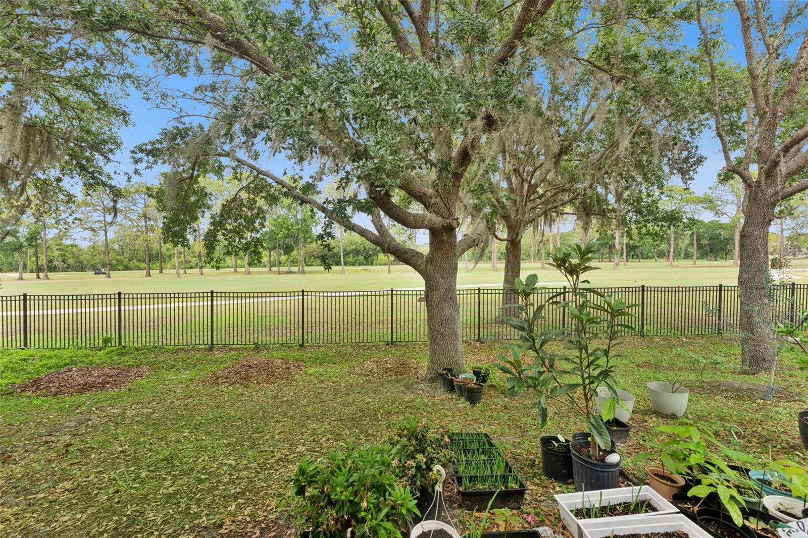 Image 34 of 36 For 4627 Blue Major Drive