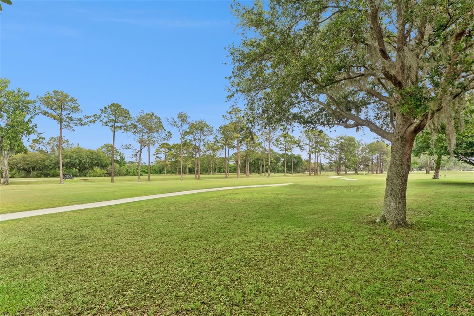 Image 36 of 36 For 4627 Blue Major Drive