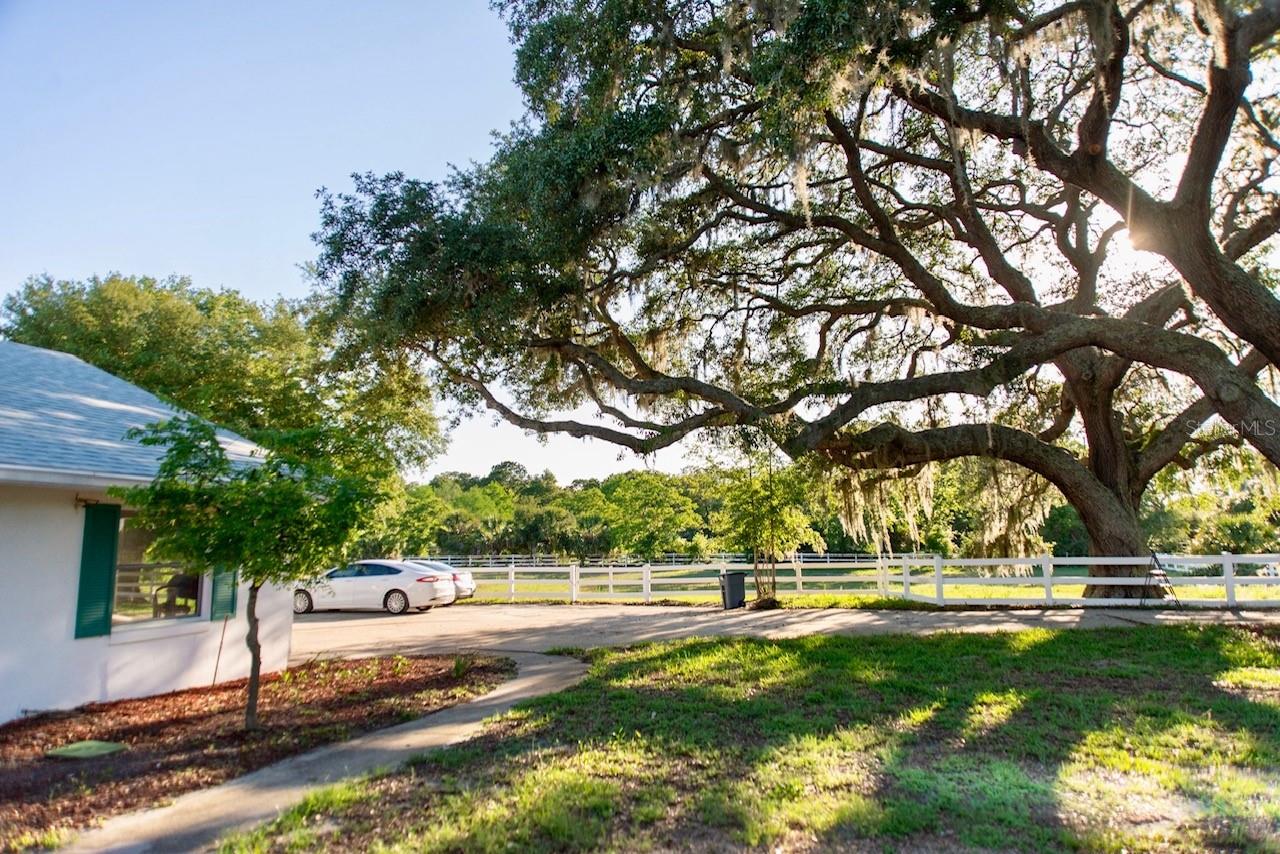 Image 5 of 38 For 315 Lazy Acres Lane