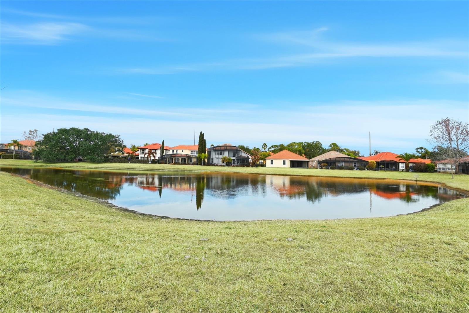 Image 44 of 54 For 910 Lascala Drive