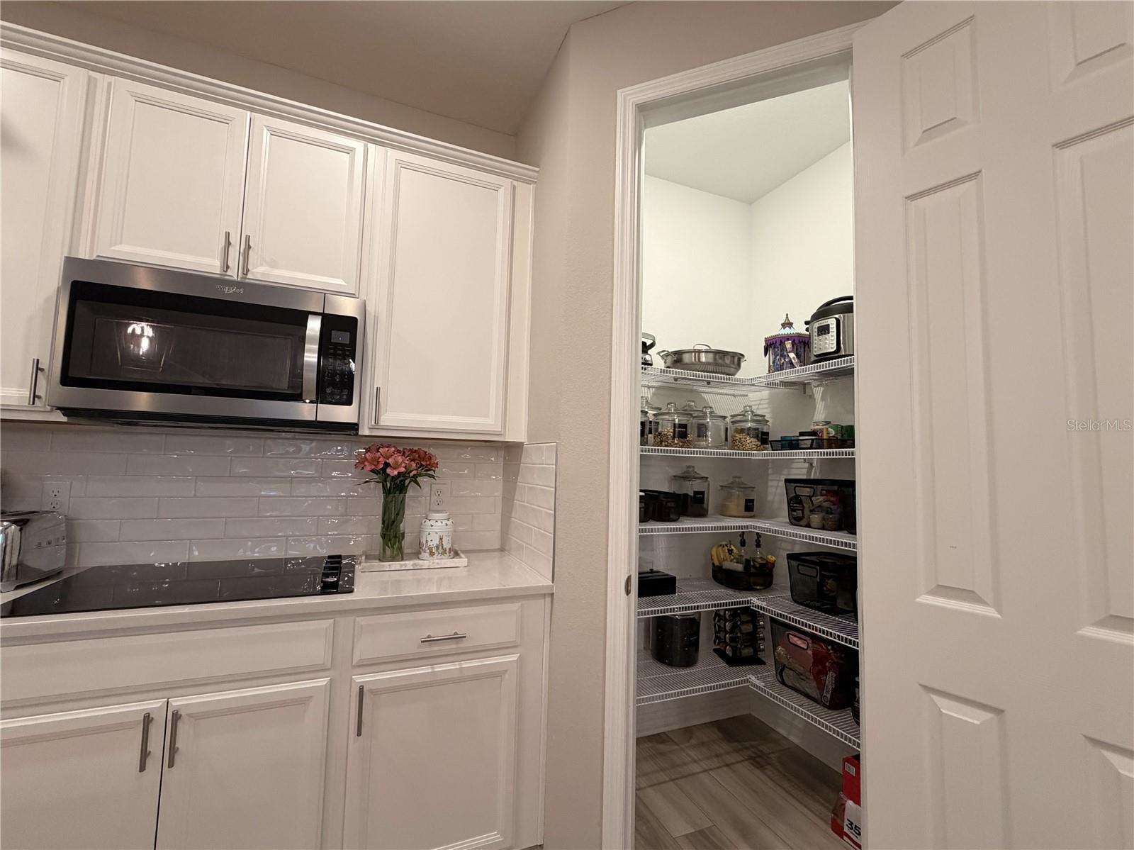 Image 12 of 52 For 4863 Lacewing Drive