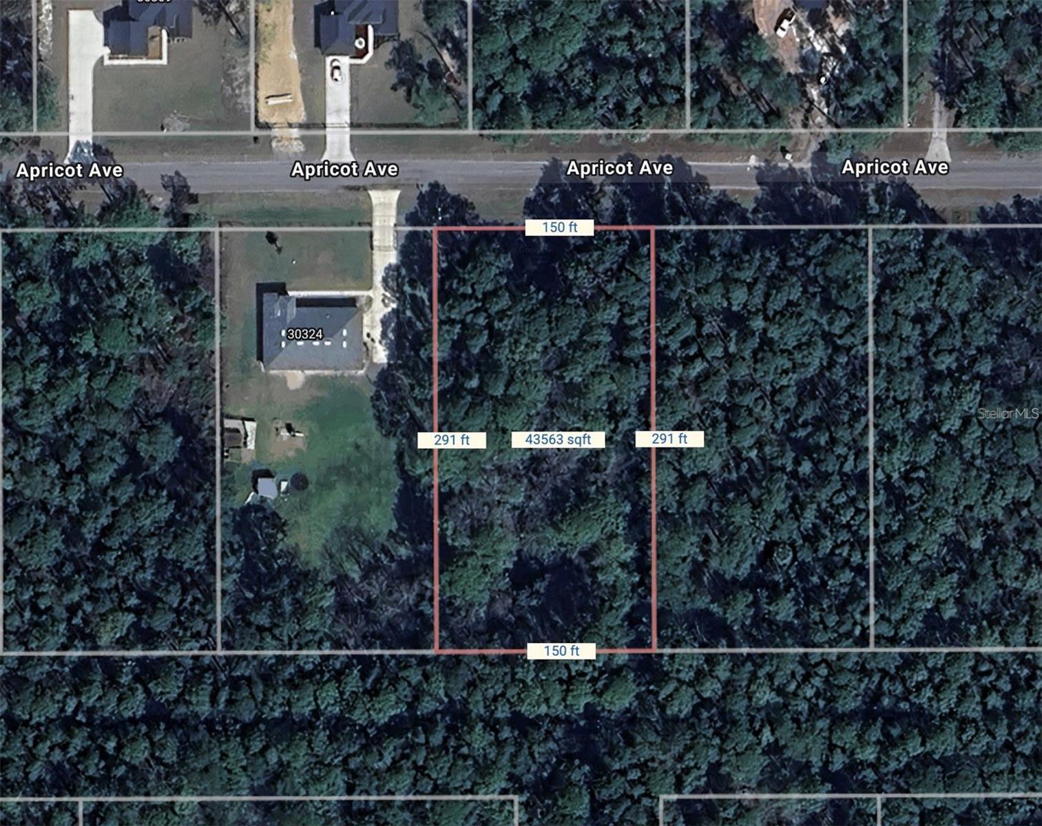 Details for Apricot Avenue, EUSTIS, FL 32736