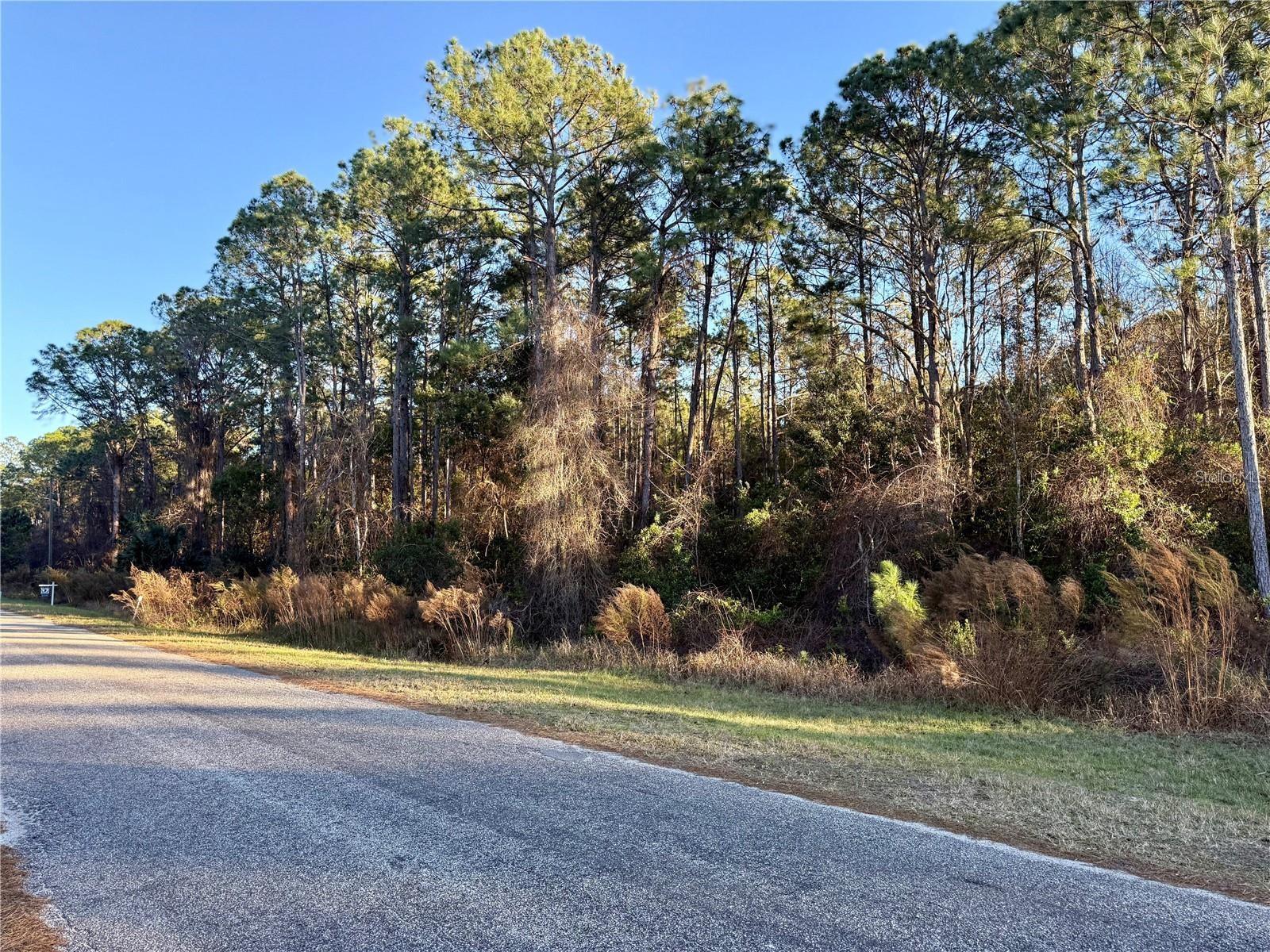 Image 4 of 13 For Apricot Avenue