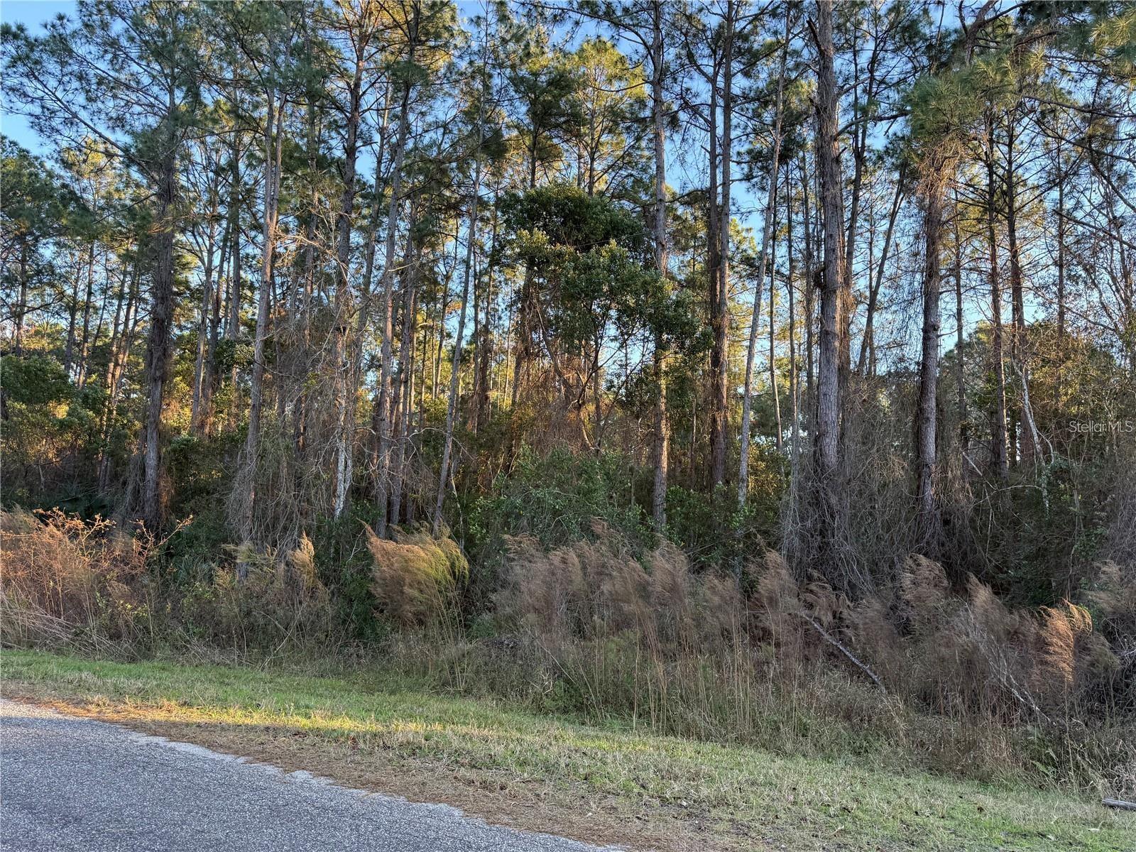 Image 5 of 13 For Apricot Avenue