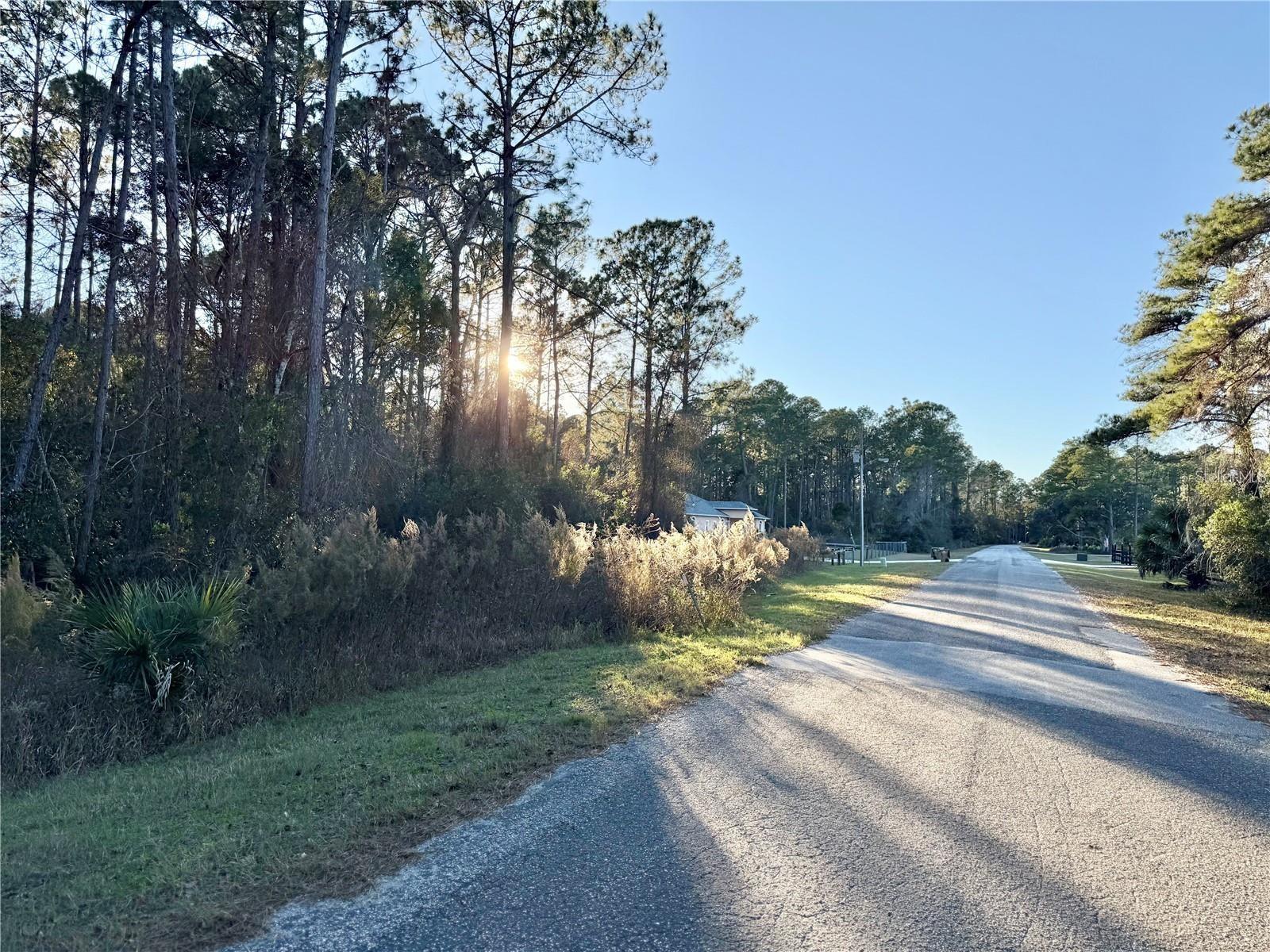 Image 6 of 13 For Apricot Avenue