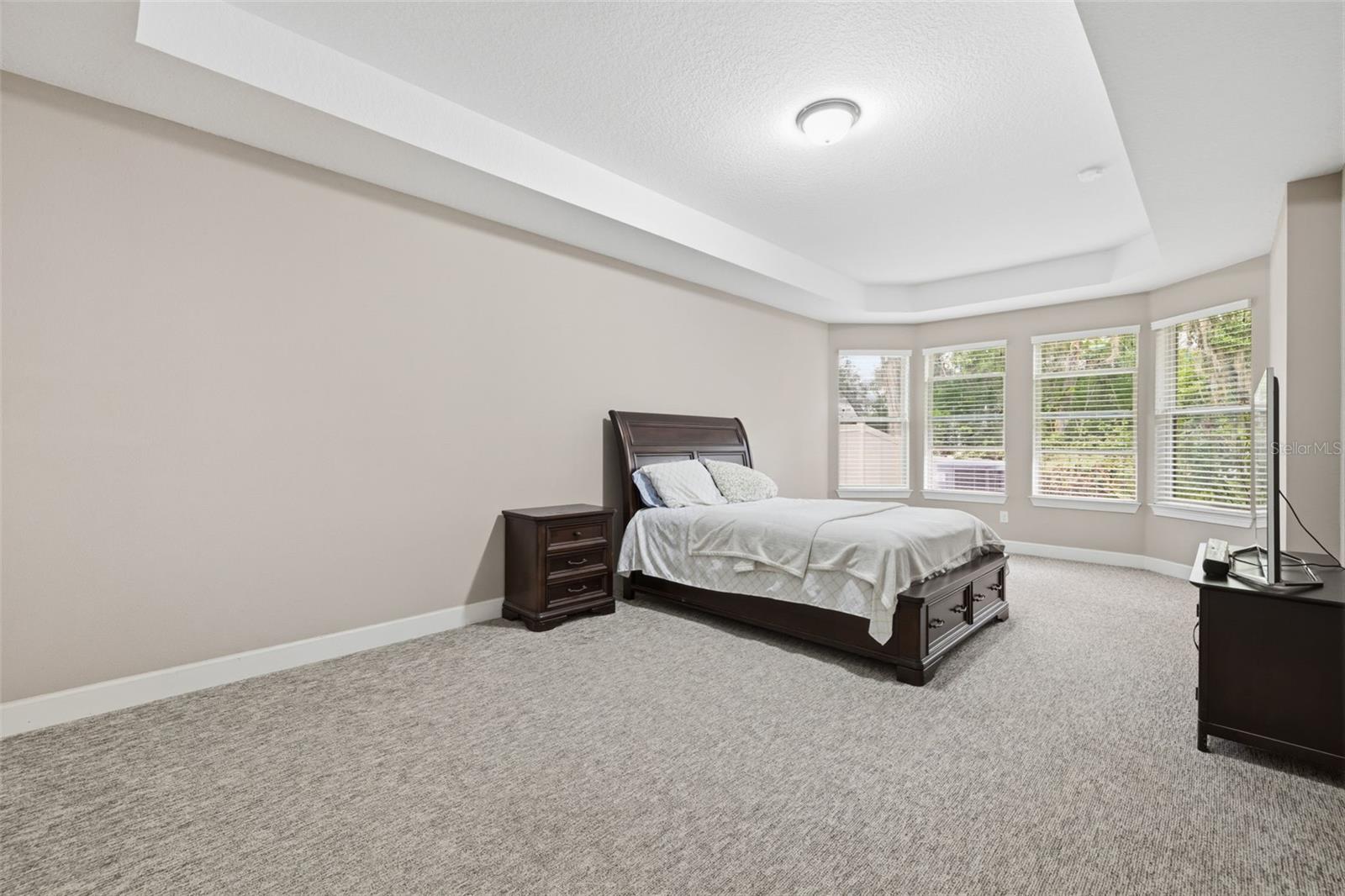 Listing photo id 10 for 10431 Alcon Blue Drive