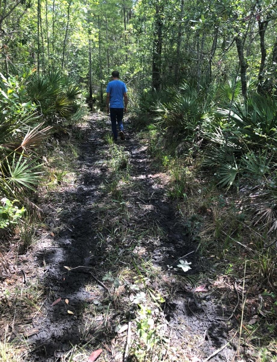 Listing Details for 2449 Old Train Road, DELTONA, FL 32738