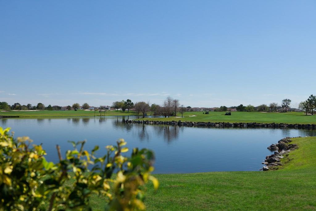 Image 35 of 35 For 9913 Winnington Street