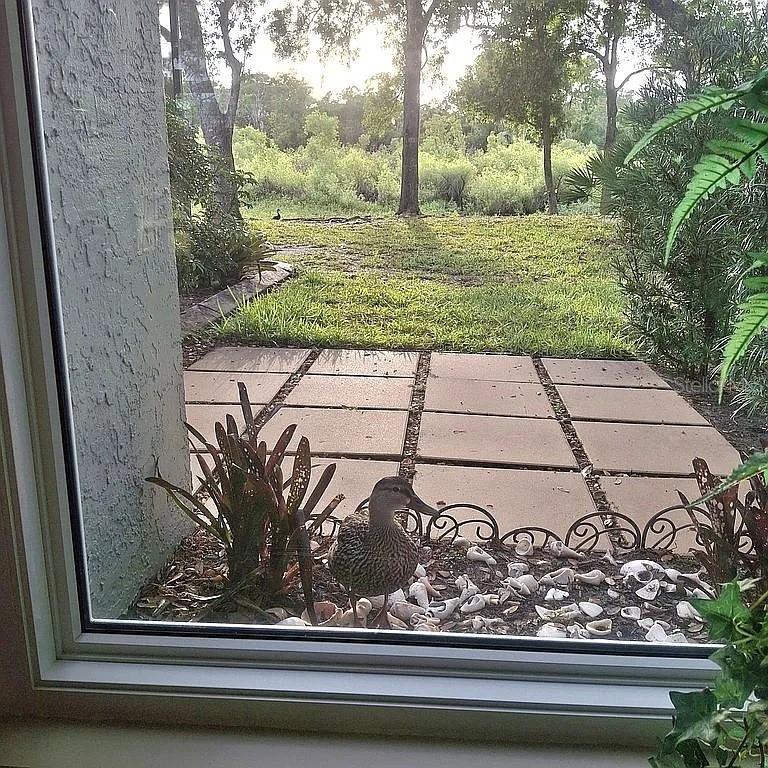 Image 25 of 55 For 3530 Crystal Lakes Court