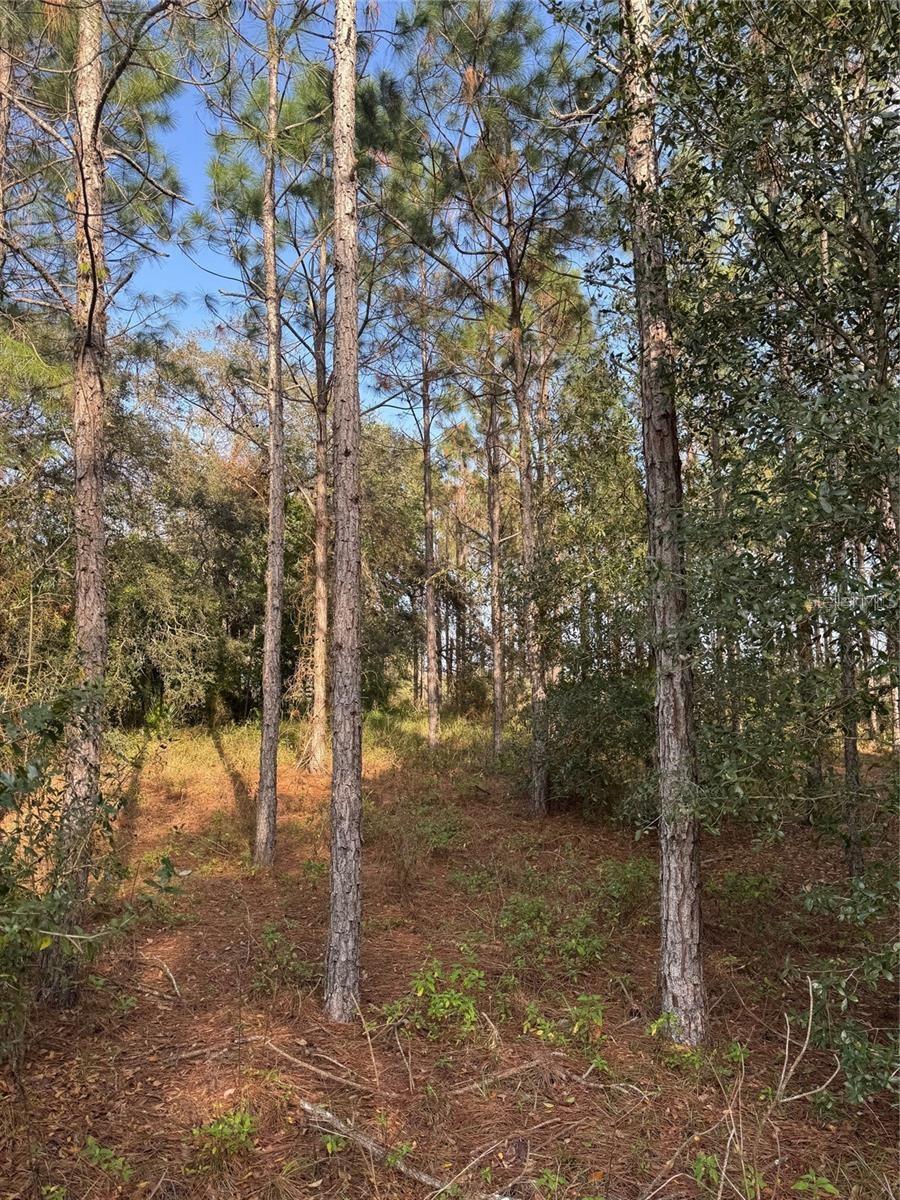 Image 4 of 6 For State Road 44