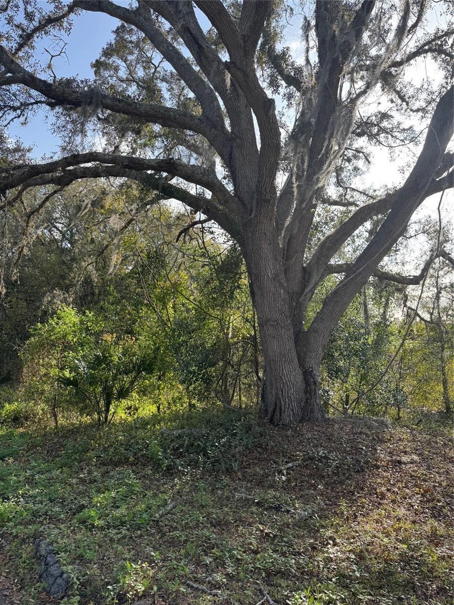 Image 5 of 6 For State Road 44