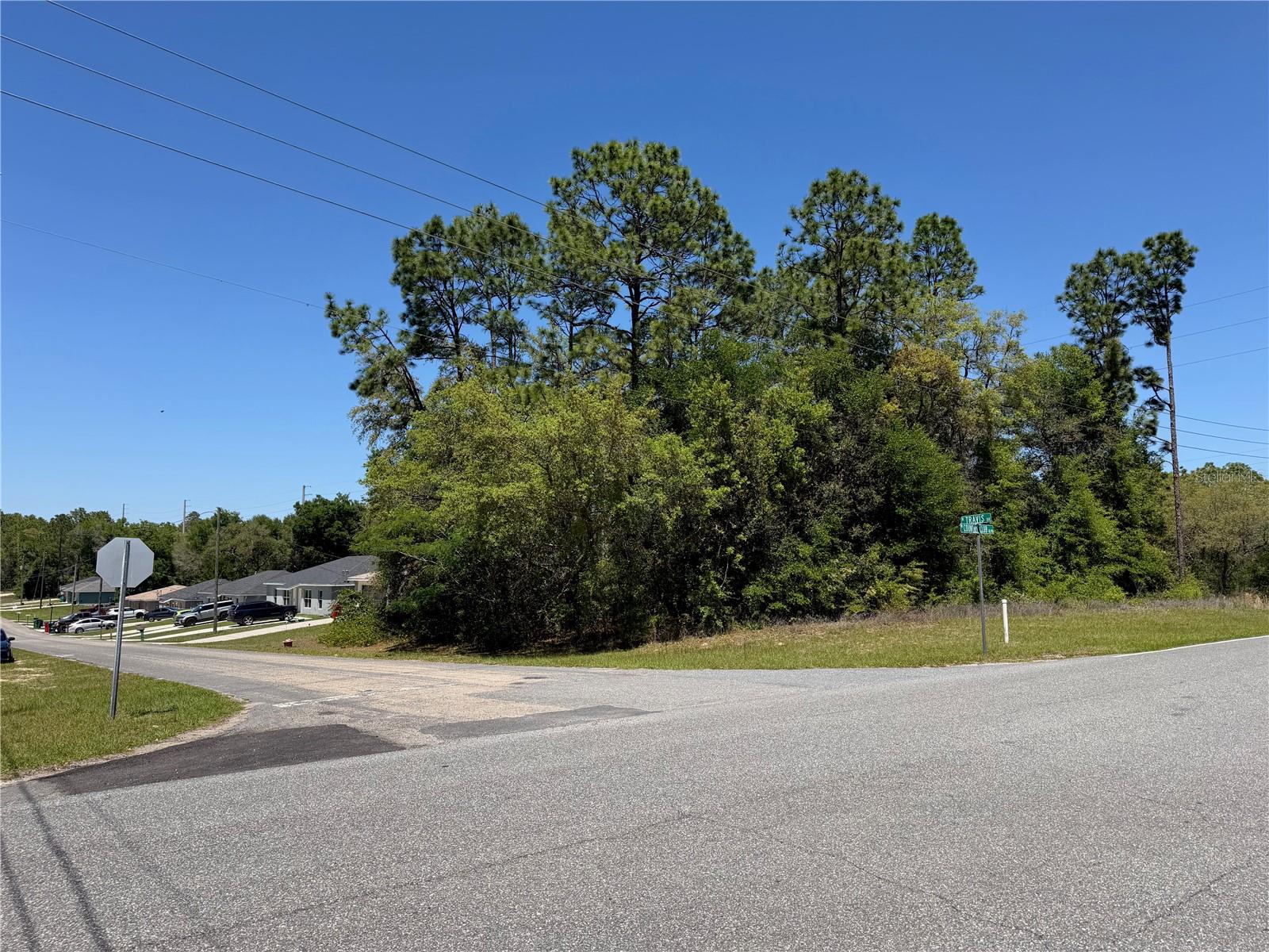 Details for 8975 Travis Drive, CITRUS SPRINGS, FL 34434