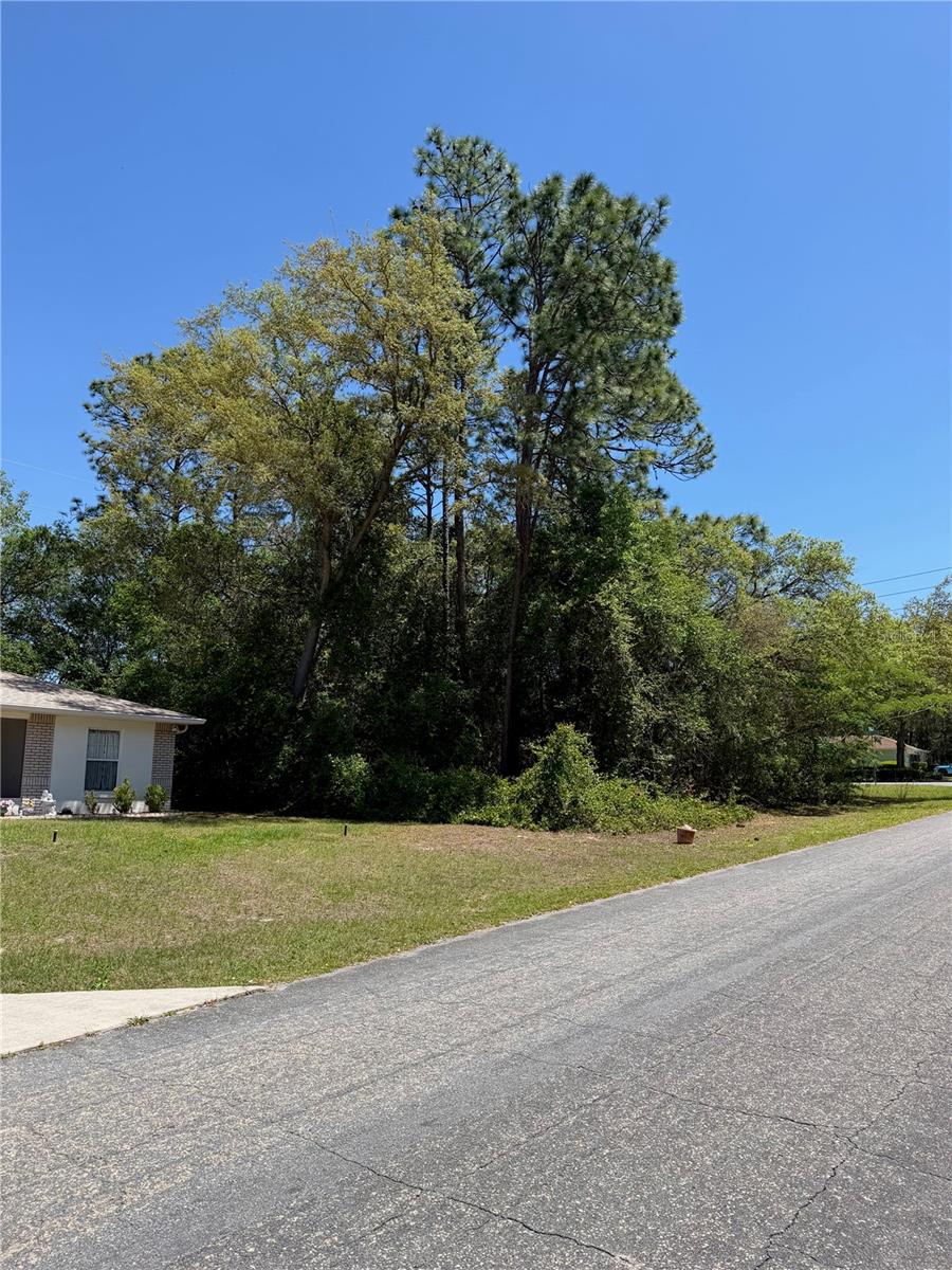 Image 4 of 8 For 8975 Travis Drive