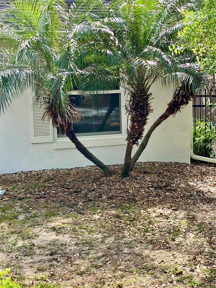 Image 3 of 15 For 201 Baker Street