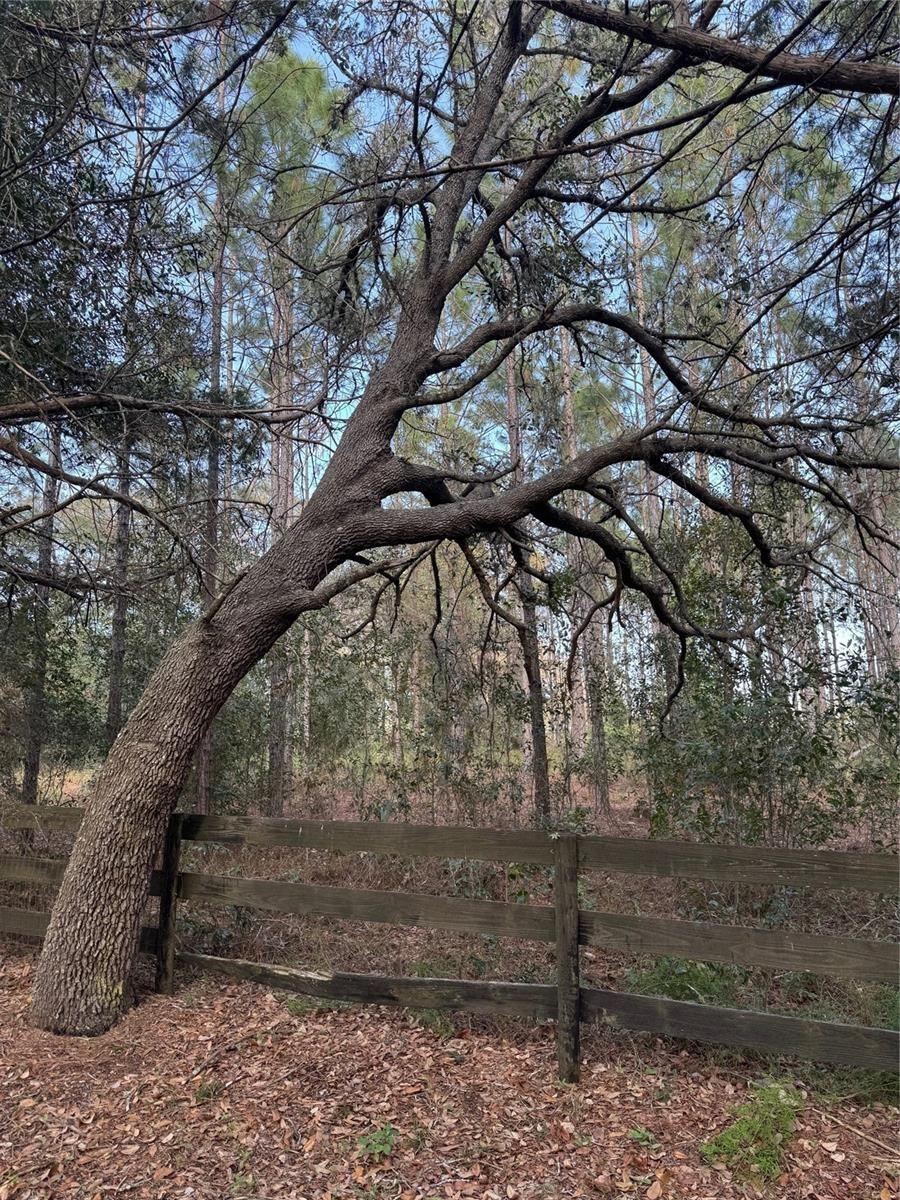 Image 3 of 6 For State Road 44