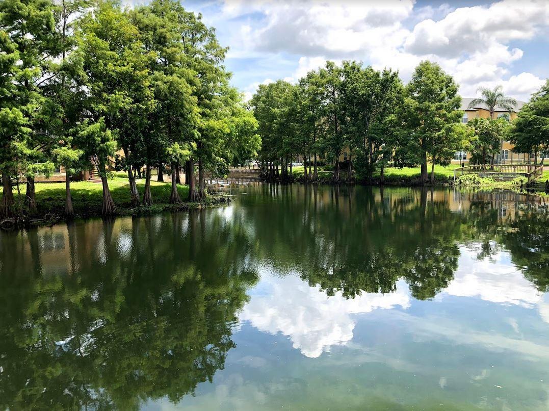 Image 15 of 16 For 4606 Commander Drive 1124