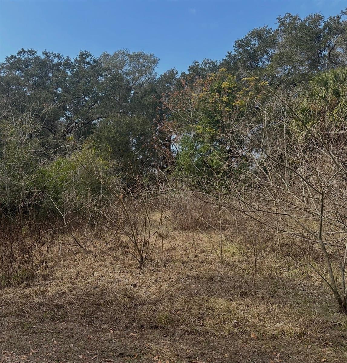 Details for 16644 134th Terrace, WEIRSDALE, FL 32195