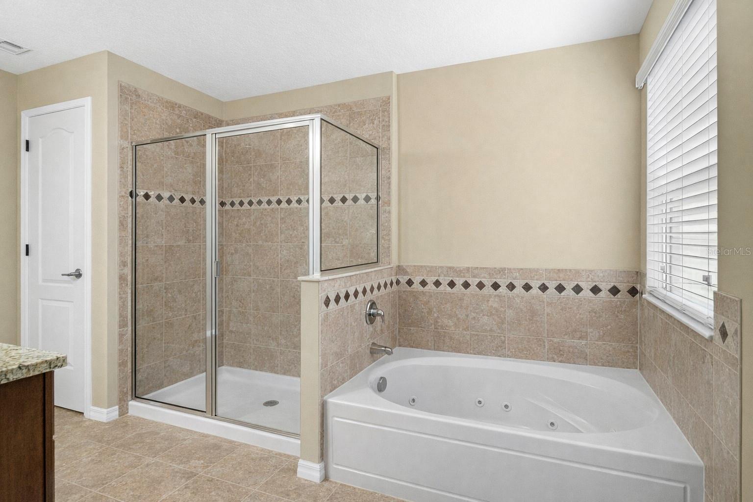 Image 22 of 37 For 1772 Leather Fern Drive