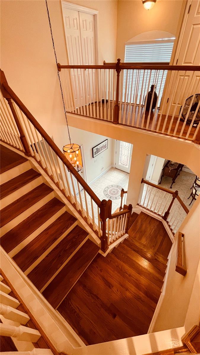 Image 10 of 42 For 3624 Duke Firth Street