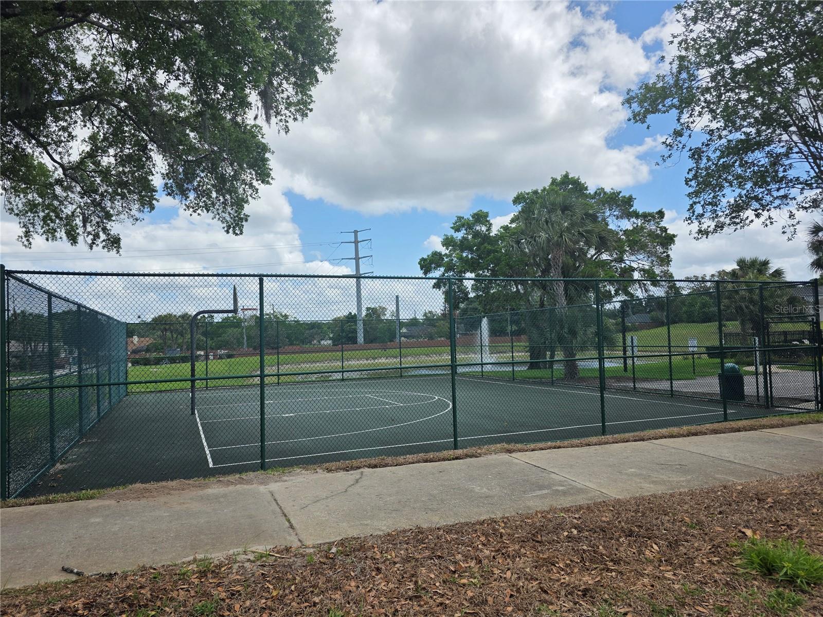 Image 31 of 34 For 289 Hanging Moss Circle