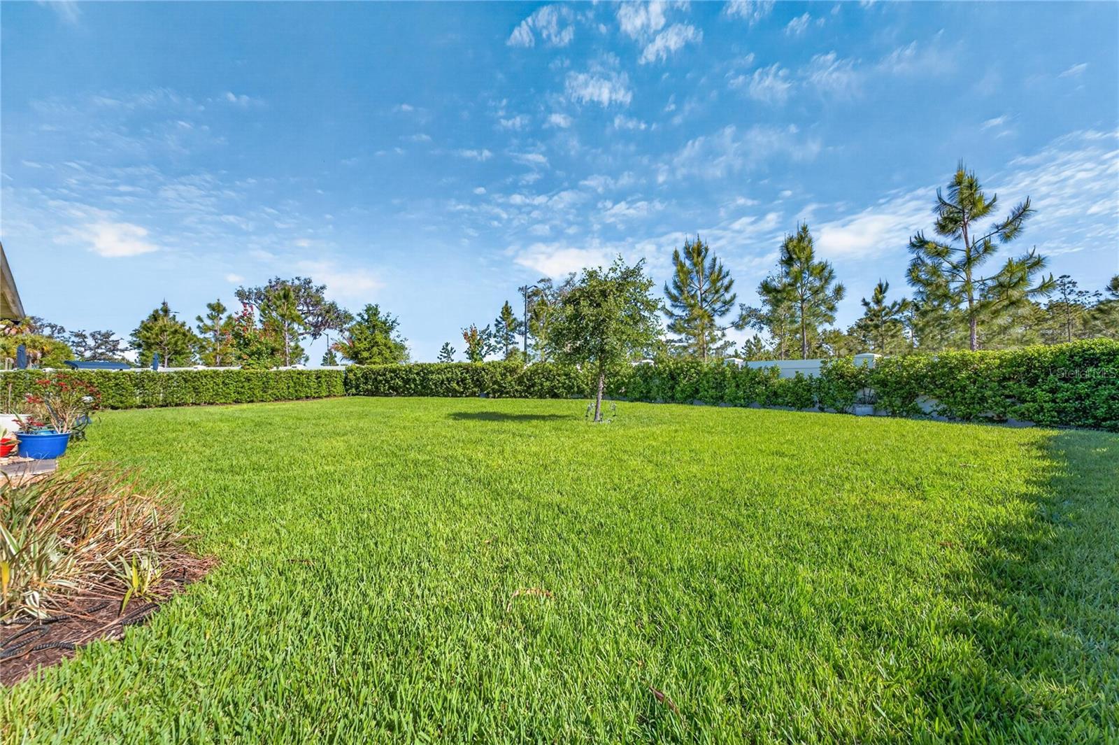 Image 92 of 92 For 2873 Cherry Blossom Loop