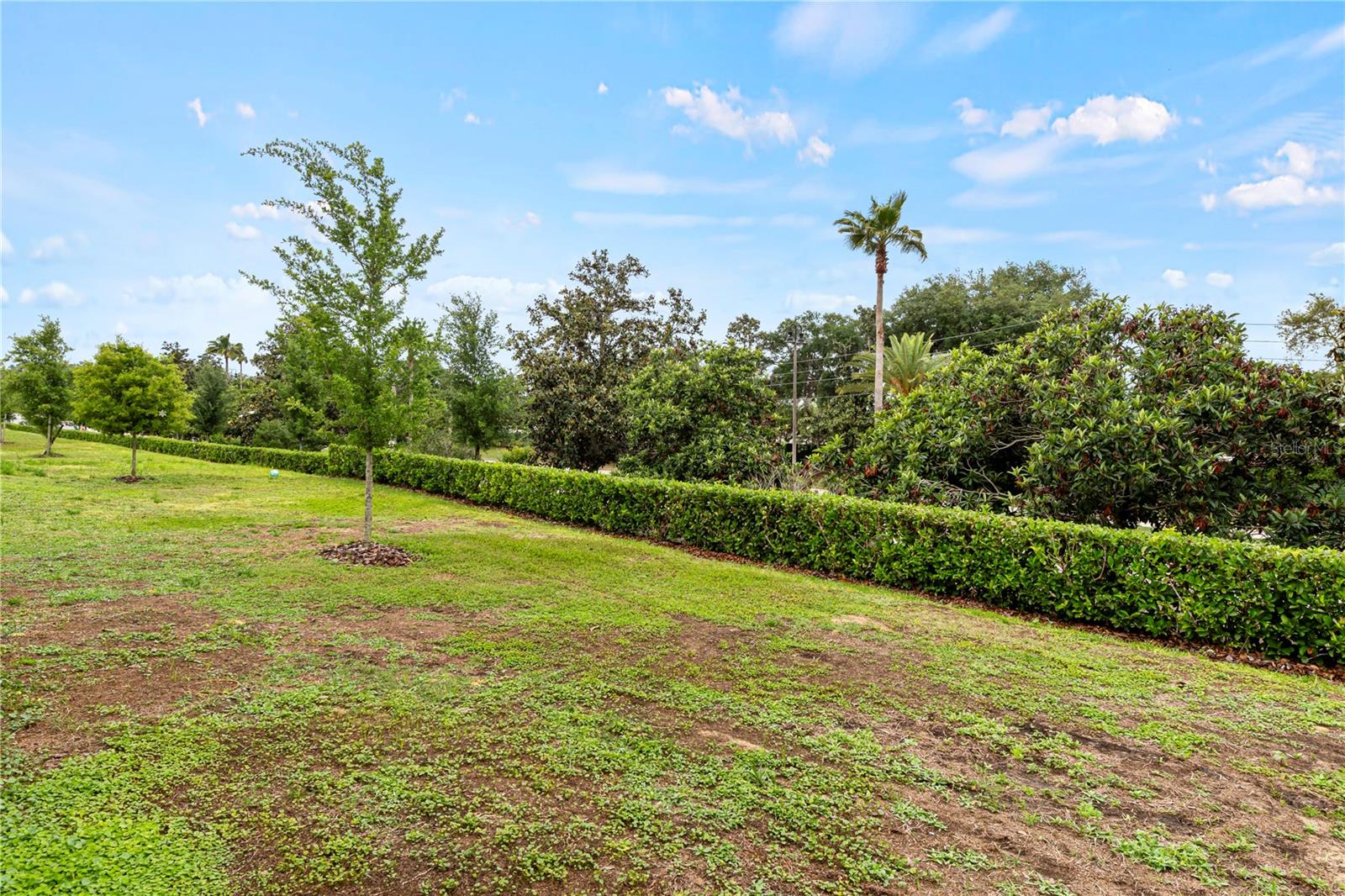 Image 29 of 30 For 1773 Rock Elm Road