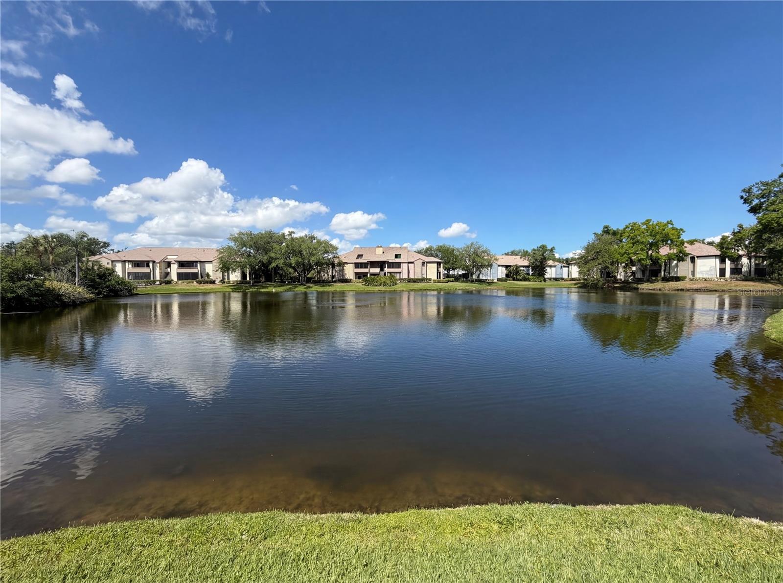 Image 26 of 27 For 10265 Gandy Boulevard N 1008