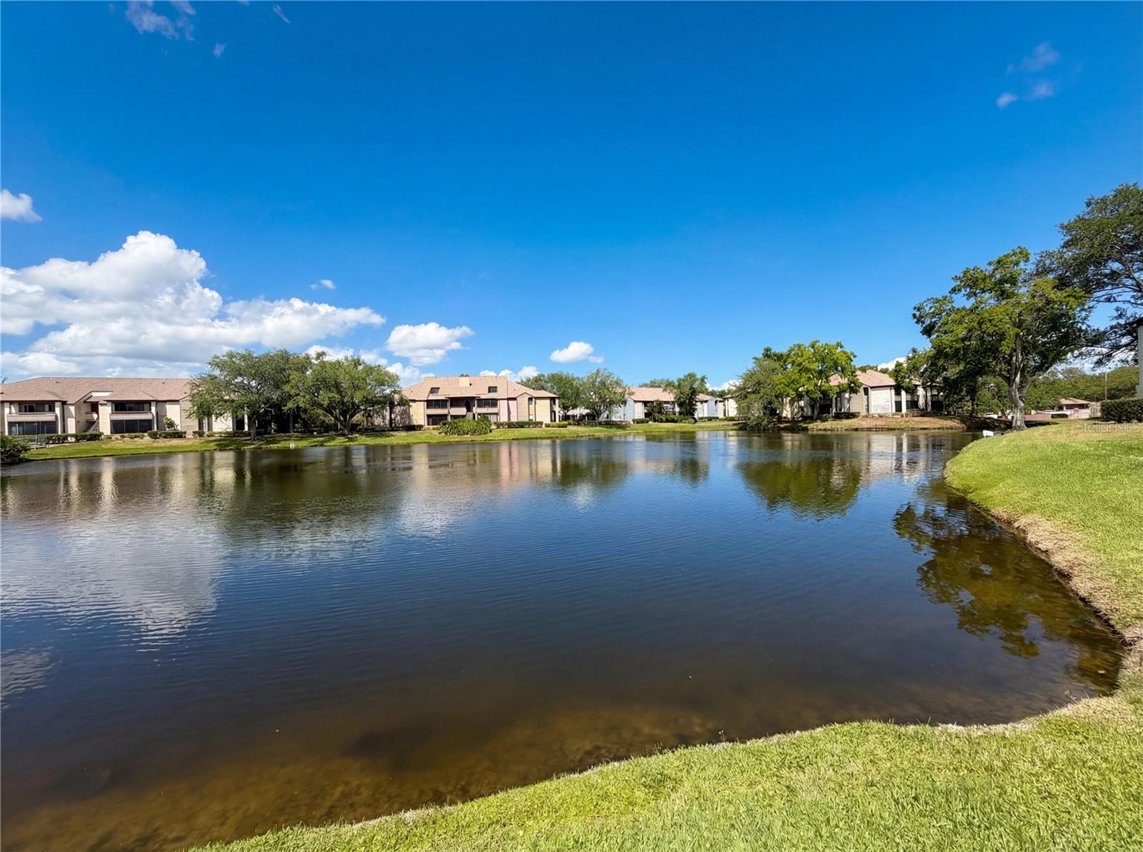 Image 27 of 27 For 10265 Gandy Boulevard N 1008