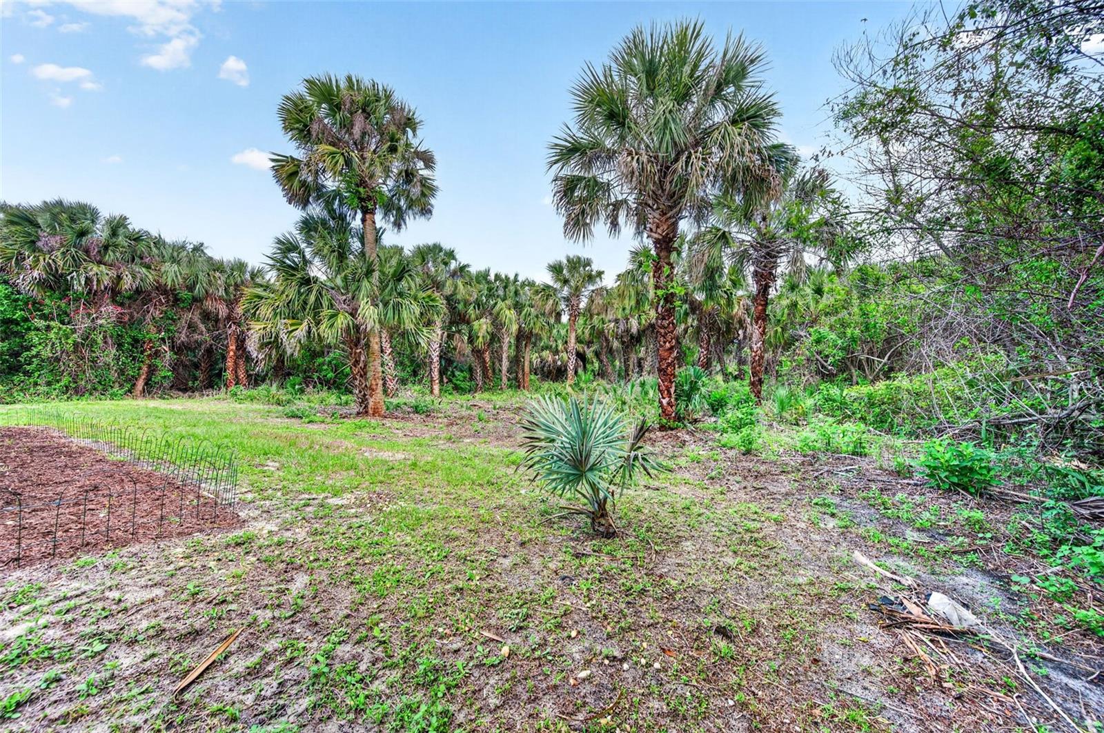 Image 52 of 53 For 831 Owl Street Sw