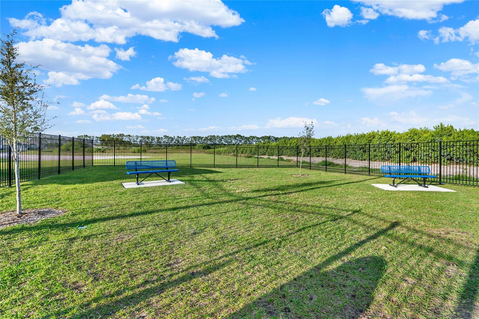 Image 31 of 31 For 1993 Sarah Street