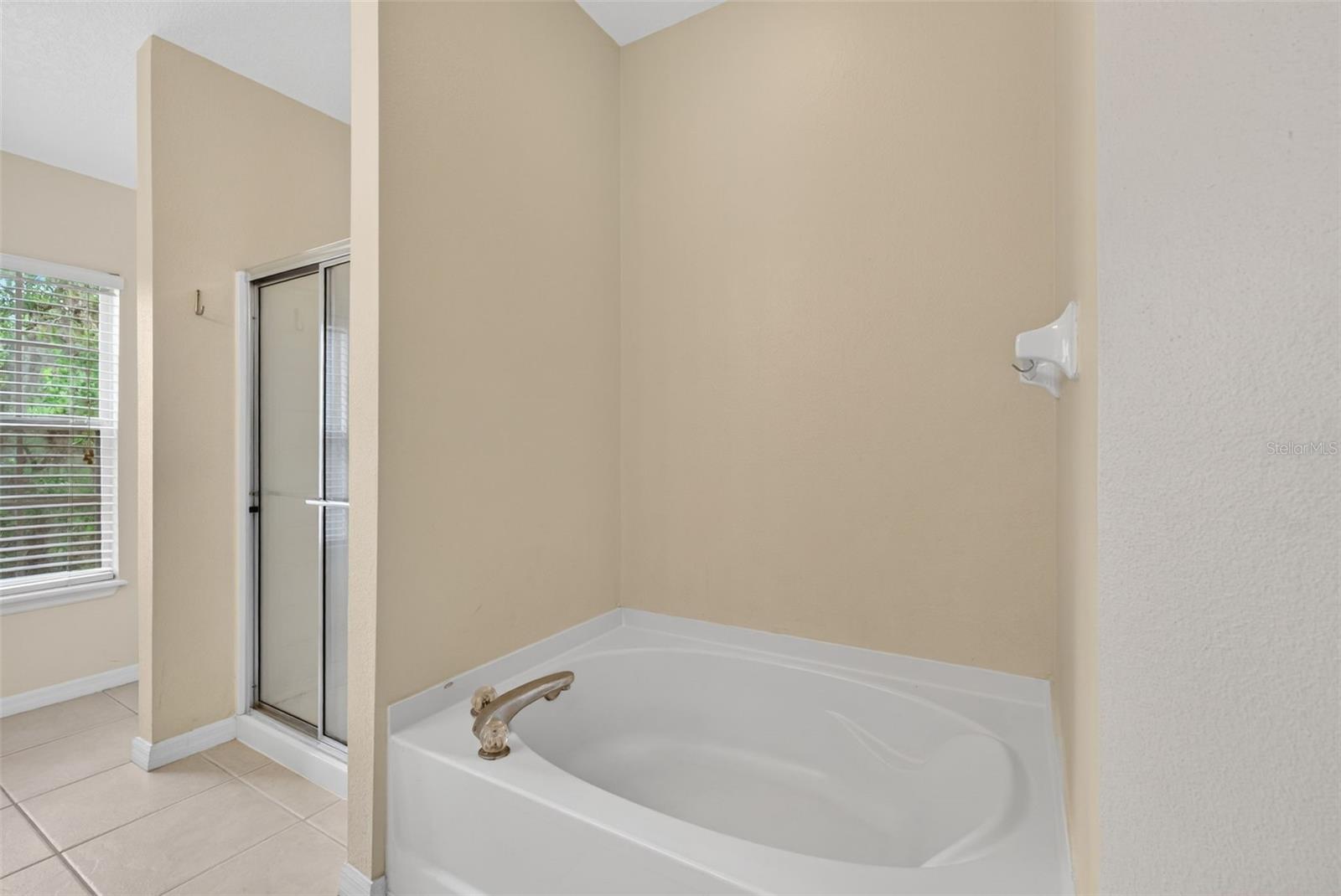 Image 22 of 46 For 10236 Lake District Lane 35c