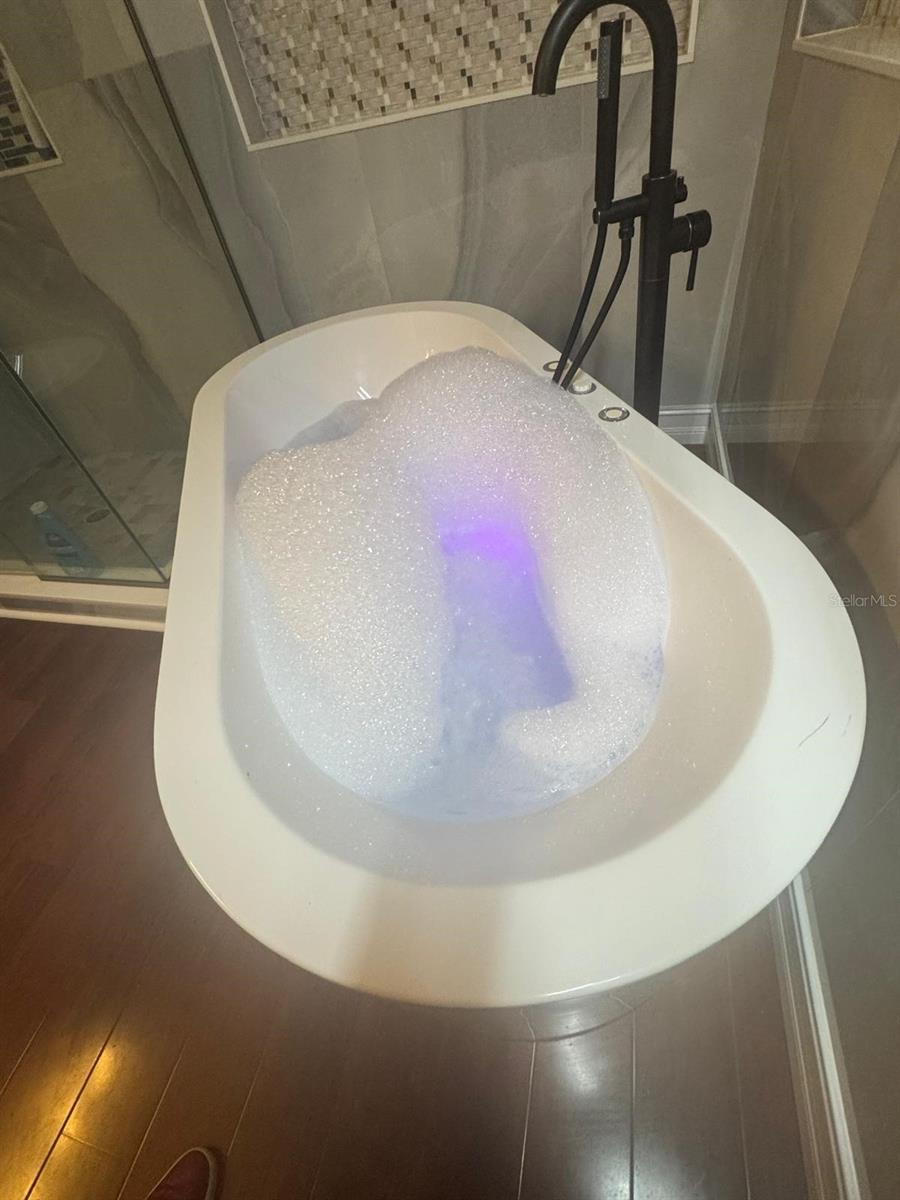 Image 22 of 60 For 11745 Via Lucerna Circle