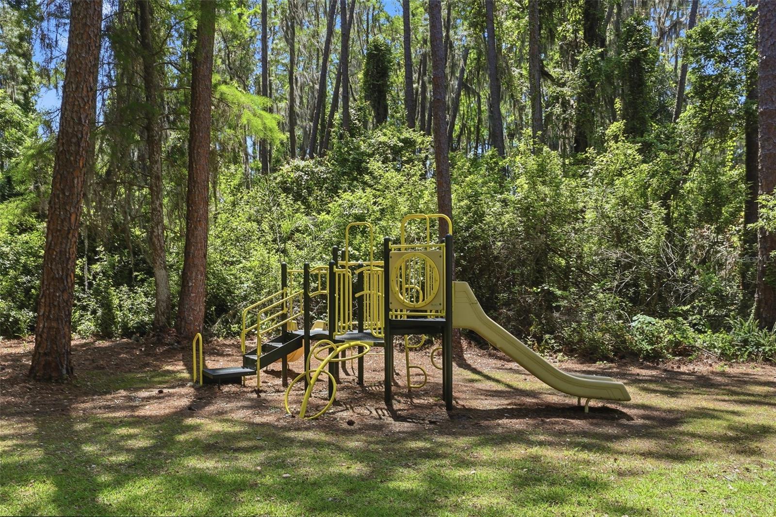 Image 57 of 58 For 9151 Point Cypress Drive