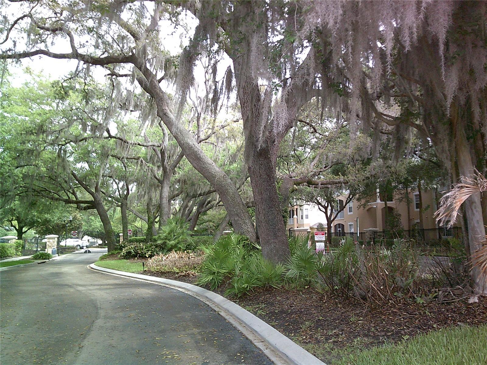 Image 14 of 50 For 6292 Twain Street 107