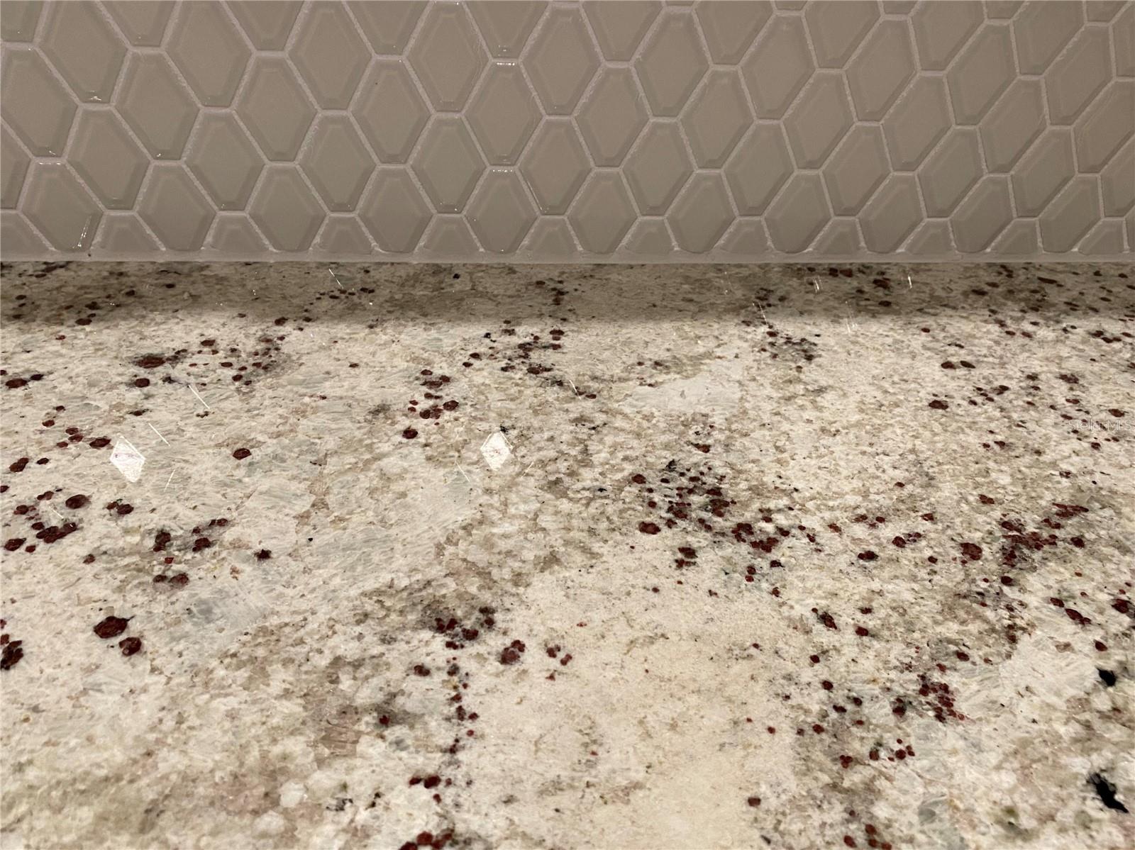 Image 5 of 35 For 2950 Firebush Way