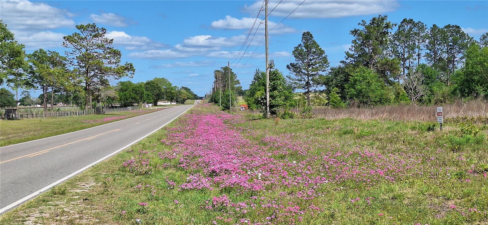 Details for Se 60th Street, MORRISTON, FL 32668