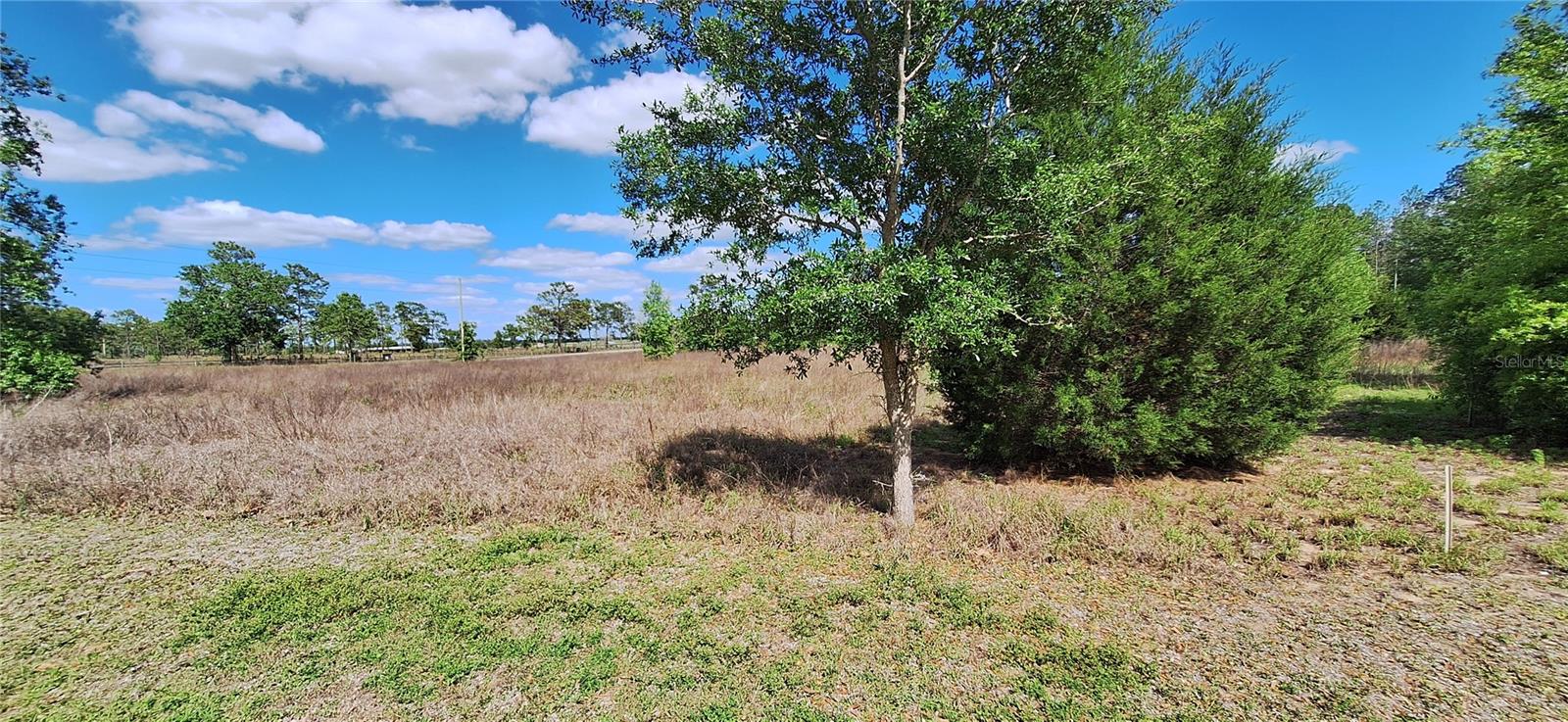 Image 6 of 6 For Se 60th Street