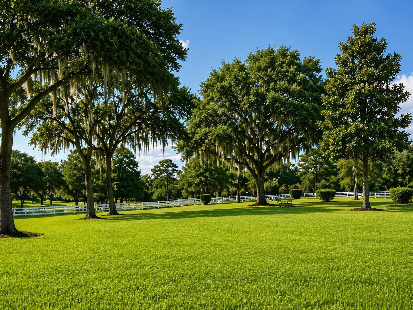 Image 9 of 25 For 33015 Sahara Court