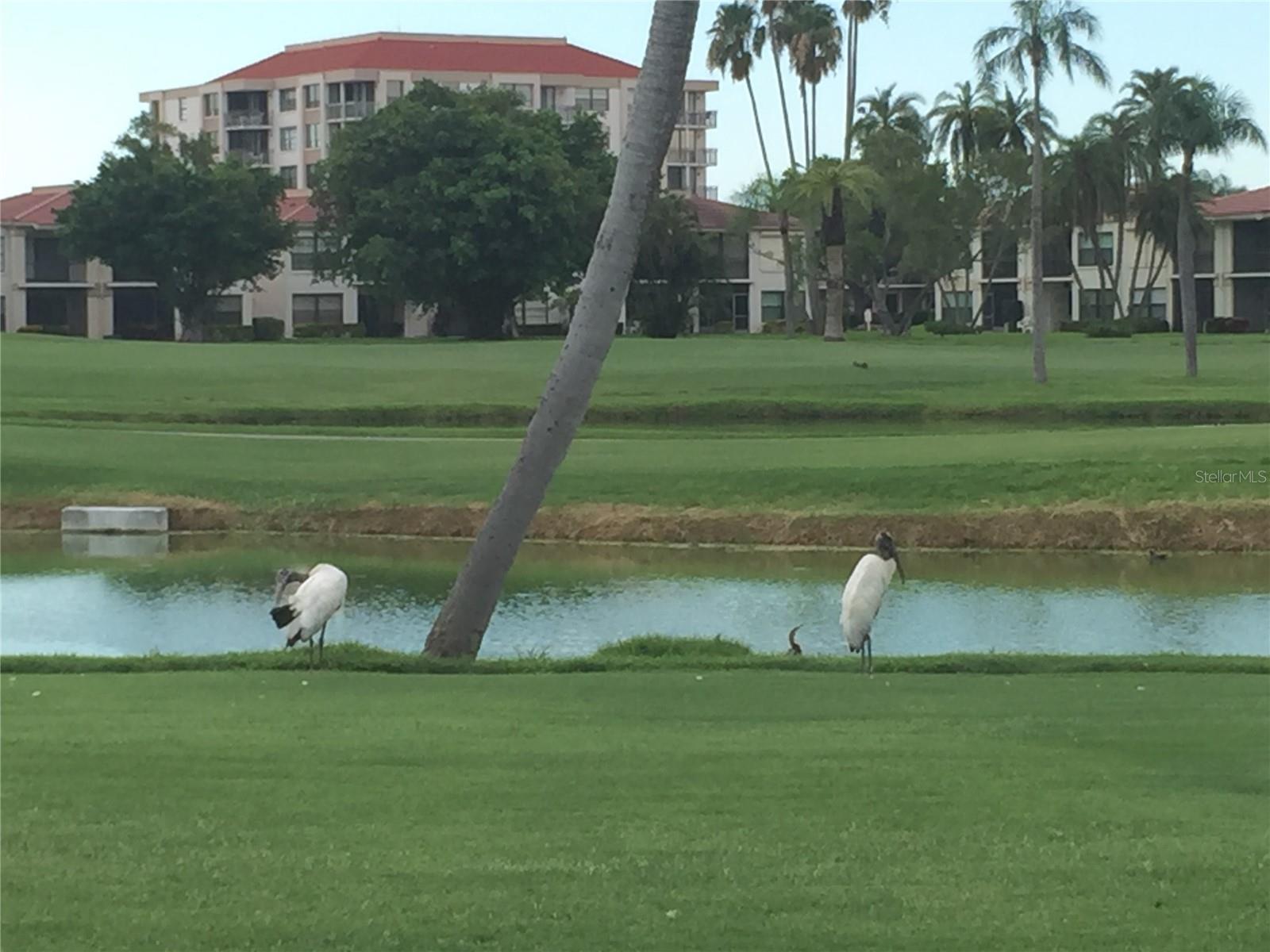 Image 17 of 20 For 6180 Sun Boulevard 115