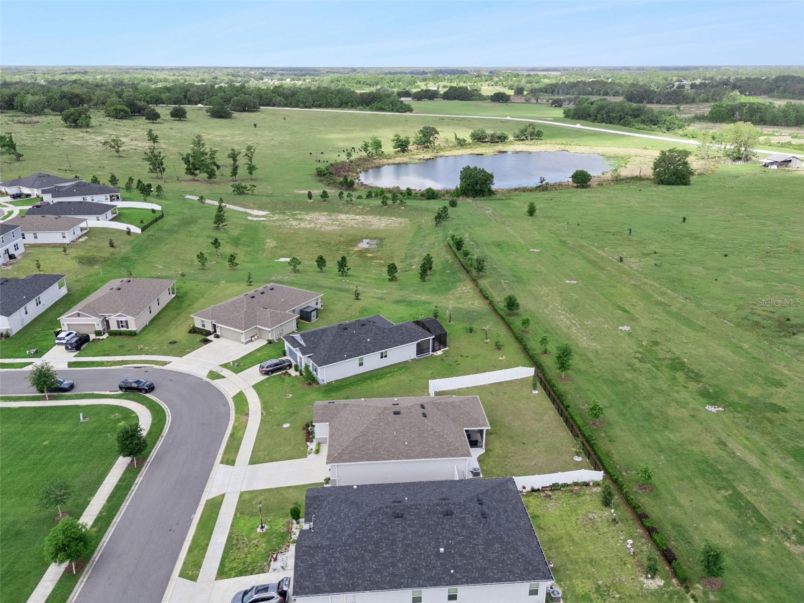 Image 64 of 64 For 1682 Littleleaf Boxwood Loop