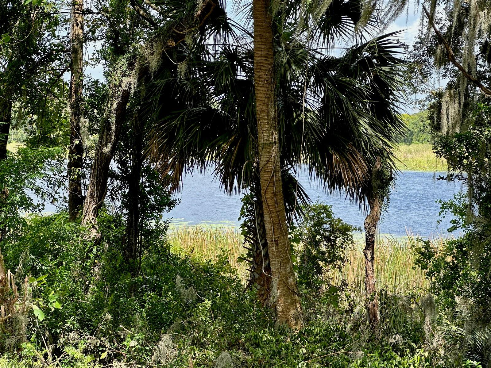 Image 13 of 25 For 624 Arbor Lakes Circle 624